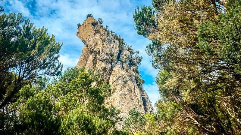 Teneriffa Sehensw&uuml;rdigkeiten Anaga Gebirge Chinobre Runde Wandern