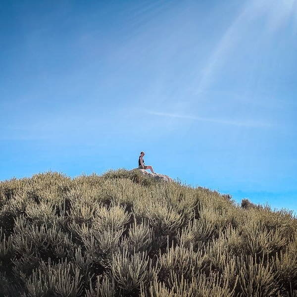 Teneriffa Sehensw&uuml;rdigkeiten Teide Mirador Teide Nationalpark