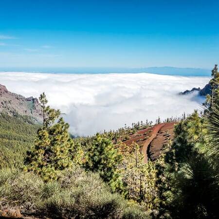 Teneriffa Sehensw&uuml;rdigkeiten Teide Nationalpark Mirador de la Crucita