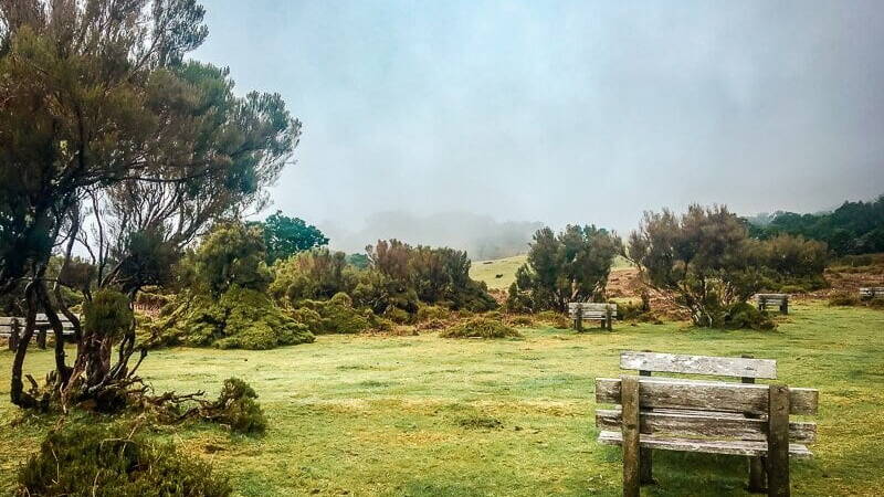 Portugal Madeira Fanal Wanderparkplatz Wandern