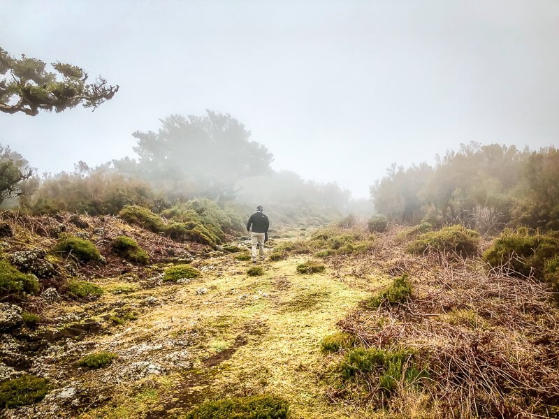 Portugal Madeira Fanal Natur Wandern