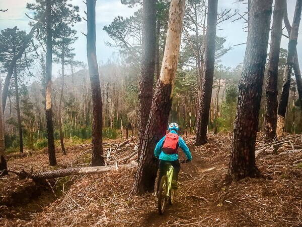 Portugal Madeira MTB Trails Bike Mountainbike Enduro