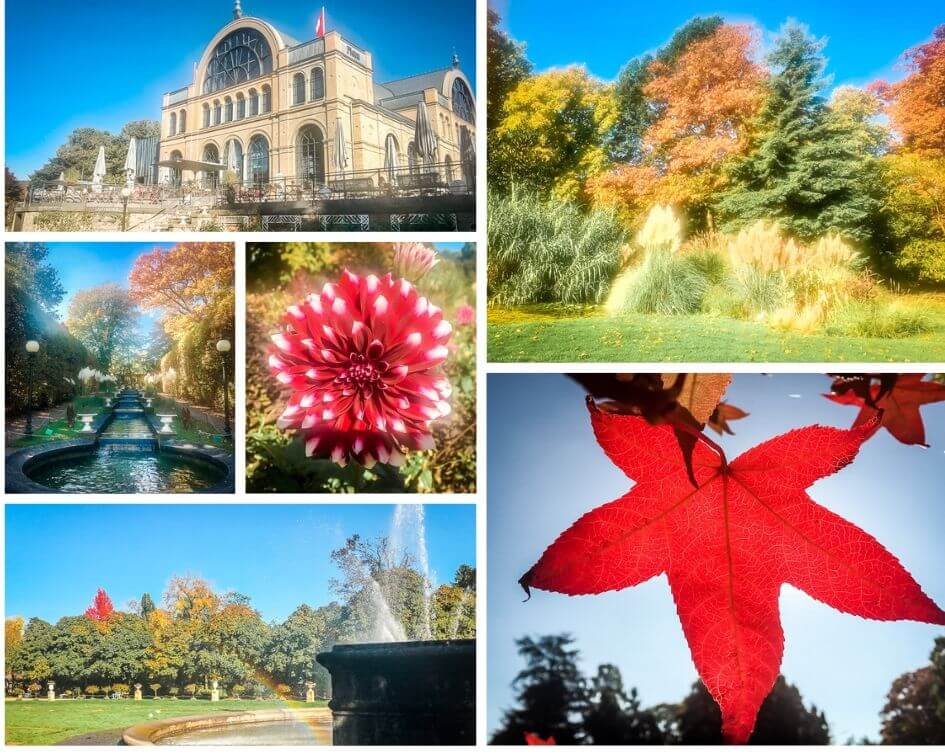 K&ouml;ln Sehensw&uuml;rdigkeiten Blumen B&auml;ume Flora Impressionen