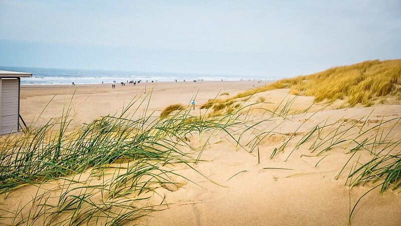 Holland Bergen aan Zee D&uuml;nen am Strand