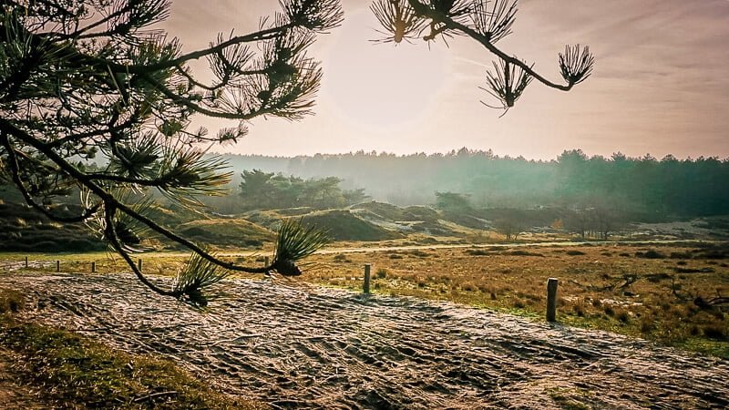 Holland Bergen aan Zee D&uuml;nen Wandern