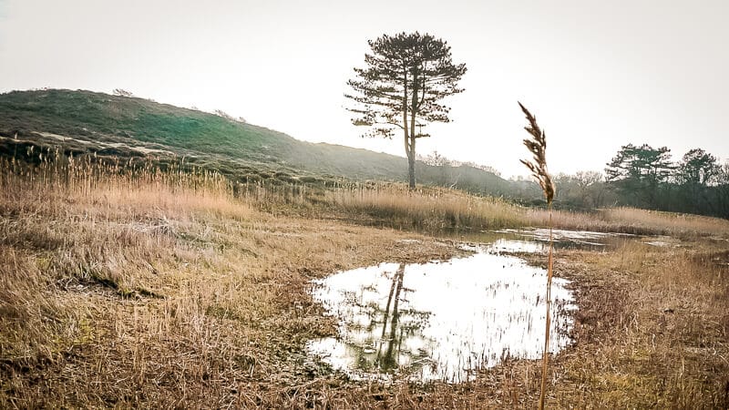 Holland Bergen aan Zee D&uuml;nen Wandern