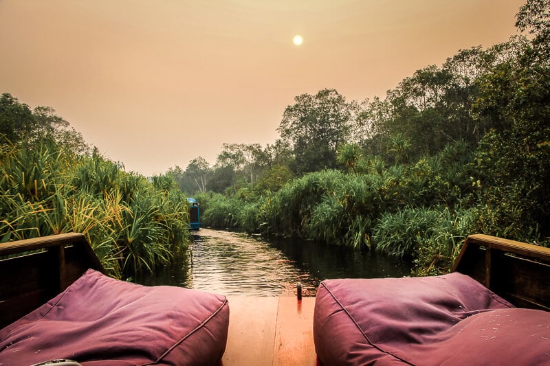 Borneo Orang Utan Hausboot Tanjung Puting National Park Abend