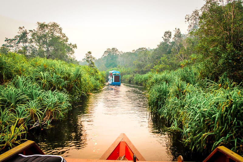 Borneo Orang Utan Hausboot Tour Tanjung Puting National Park Hausboot Ausflug
