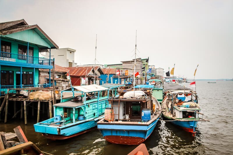 Borneo Orang Utan Kumai Hafen