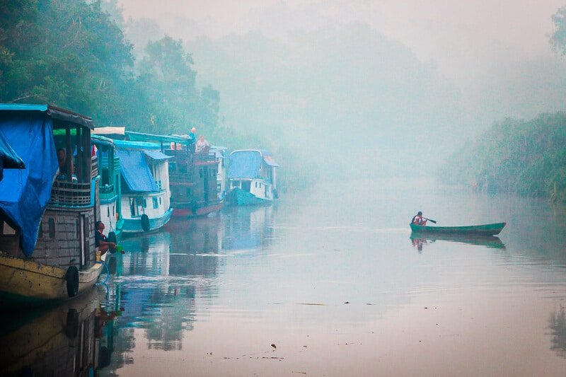 Borneo Orang Utan Tanjung Puting National Park Morgens im Dschungel