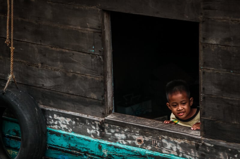 Borneo Orang Utan Tanjung Puting National Park Kind