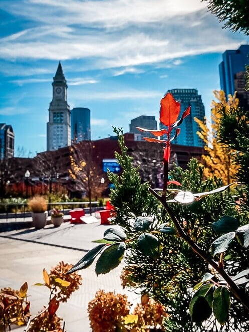 Boston USA Rose Kennedy Greenway Skyline