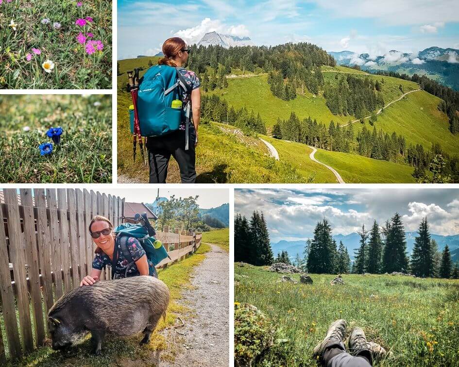 Wilder Kaiser Koasa Trail Wandern Etappe 4 Eindr&uuml;cke