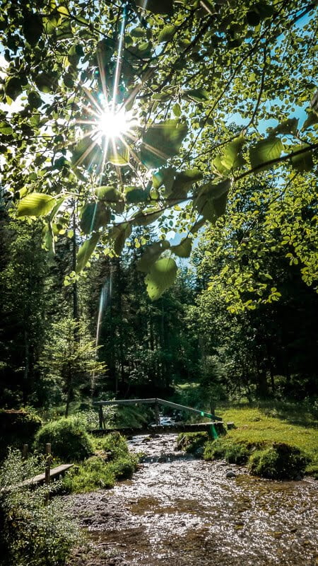 Wilder Kaiser Koasa Trail Wandern Etappe 1 M&auml;rchenwald