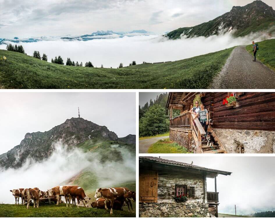 Wilder Kaiser Koasa Trail Etappe 5 Kitzb&uuml;heler Horn