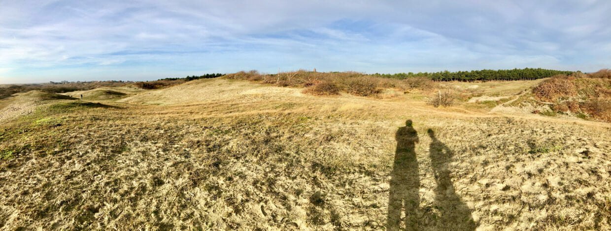 Holländische Nordsee Bergen aan Zee Dünen