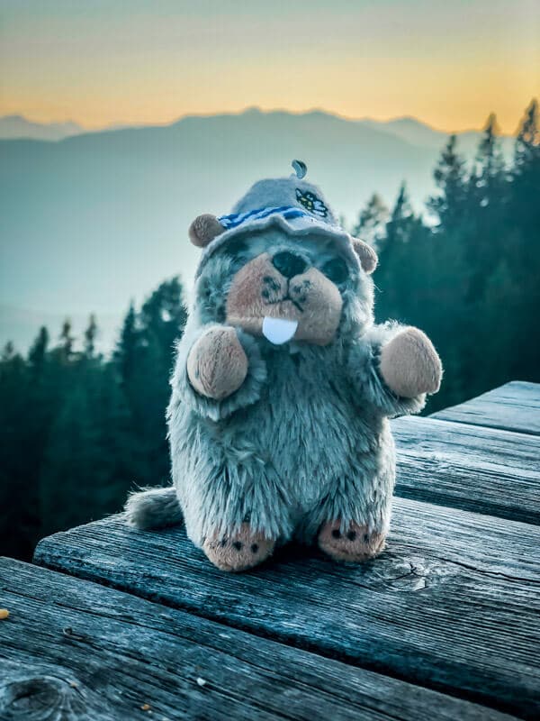 Maskottchen Weitwanderung Packliste wandern