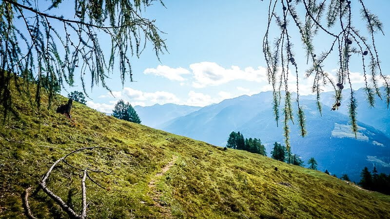 Ausblick auf das M&ouml;lltal und die Hohen Tauern Alpe Adria Trail Etappe 4
