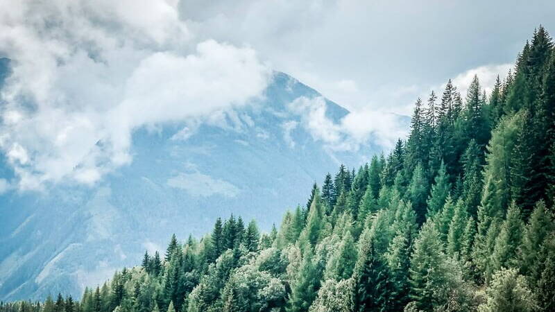 M&ouml;lltal Wald und Bergidylle im Nebel