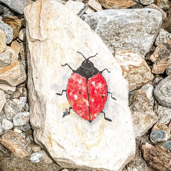 Bemalte Steine am Bach bei Mallnitz-Obervellach