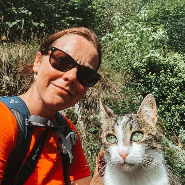 Couchflucht und Katze auf dem Alpe Adria Trail bei Mallnitz