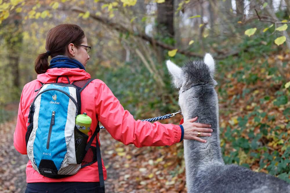 Sabrina von Couchflucht bei der Wanderung mit Alpaka Jackomo