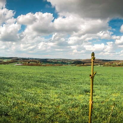 Landschaftliche Idylle auf dem Panoramaradweg Niederbergbahn