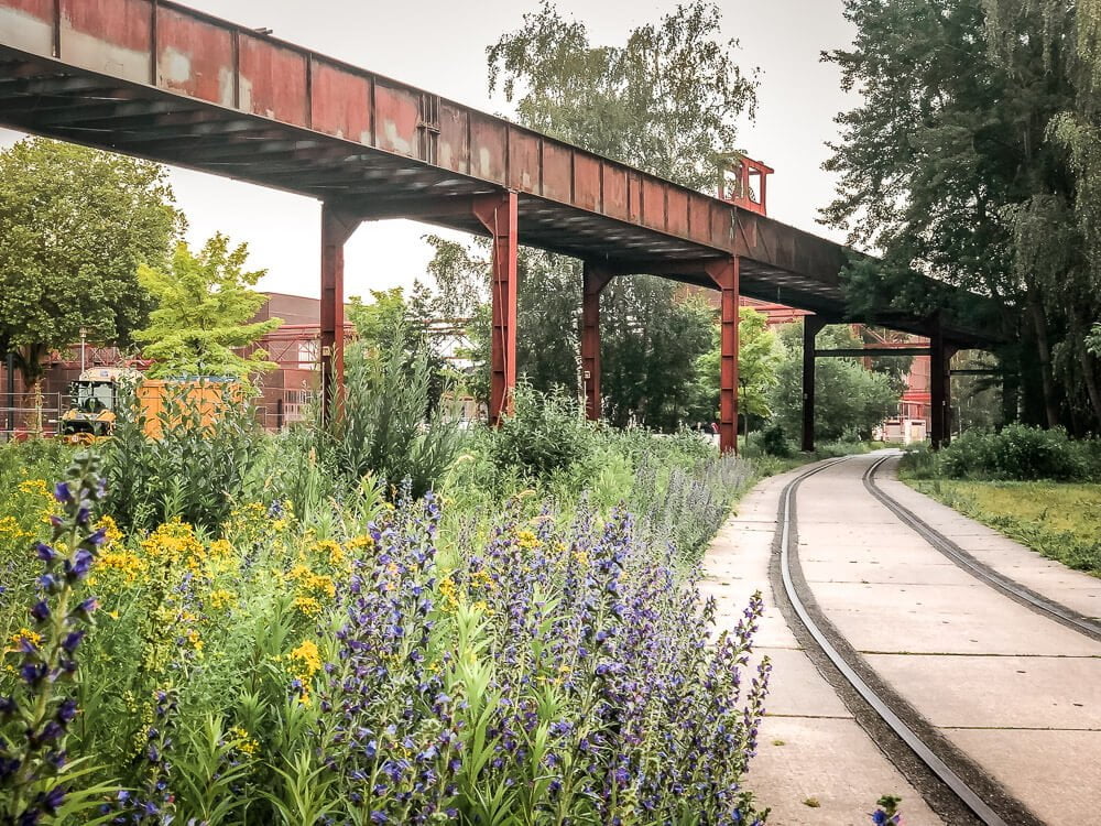 Kontrast aus Industriekultur und Natur an der Zeche Zollverein in Essen
