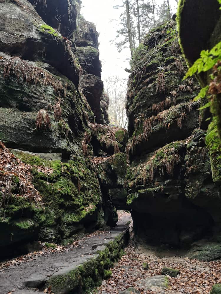 Das Felsentor im Uttewalder Grund ist ein Motiv des ber&uuml;hmten Gem&auml;ldes von Caspar David Friedrich