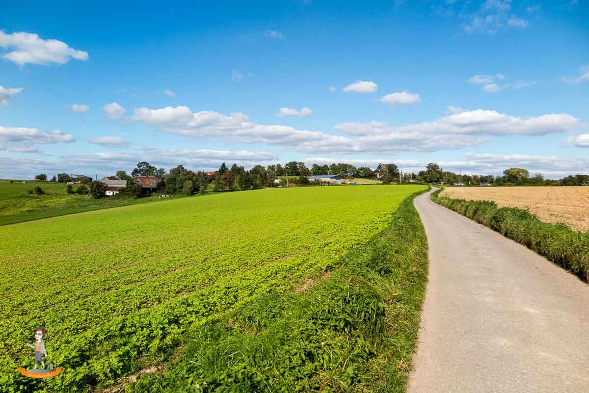 Wandern auf einem Feldweg und Wiesen auf dem Neanderlandsteig in NRW