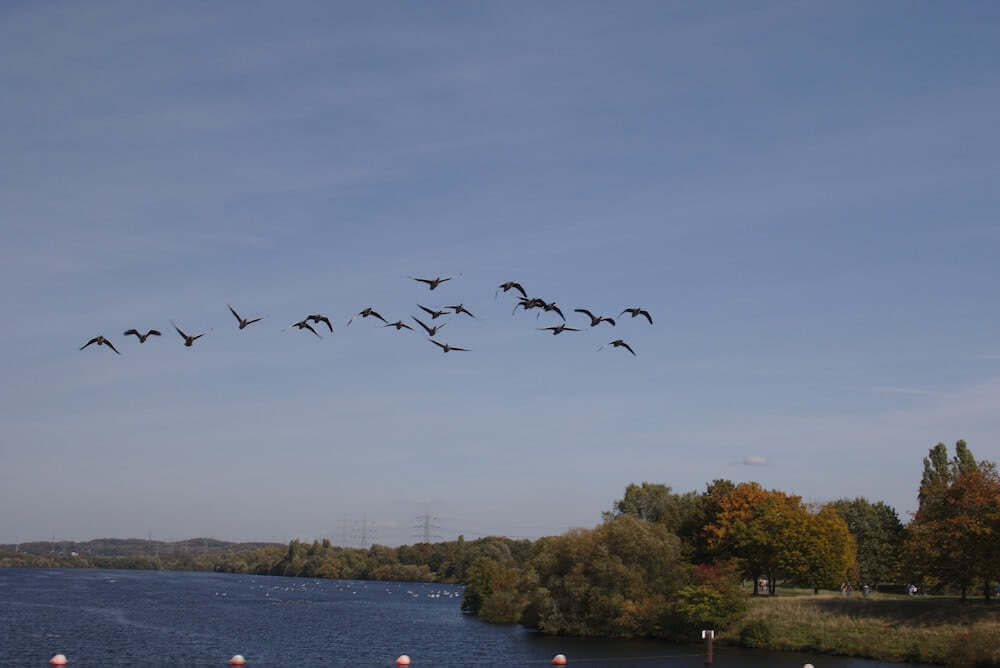 Wandern NRW am Kemnader See zwischen Bochum und Hattingen