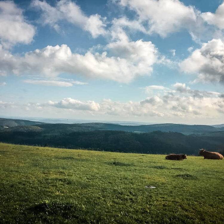 Ausblick auf die Medebacher Bucht vom Kalied auf der Rothaarsteig-Spur Kahle Pön