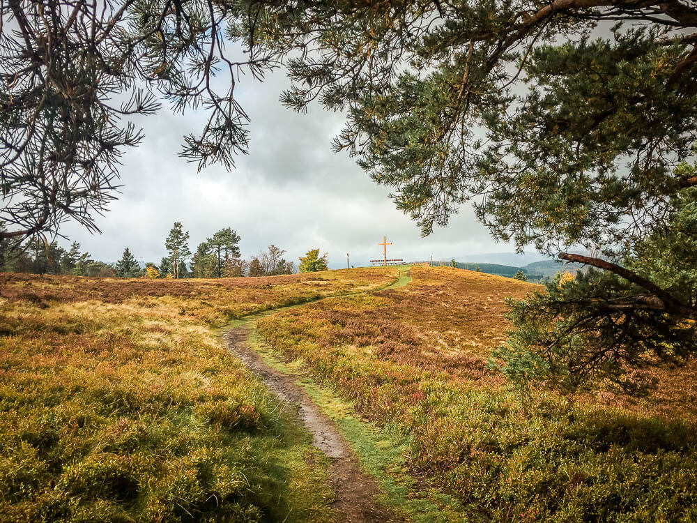 Weg durch die Usseler Heide zum Gipfelkreuz der Kahlen P&ouml;n