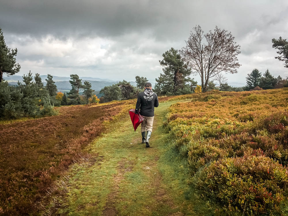mann wandert mit Regenschirm durch die Usseler Heide