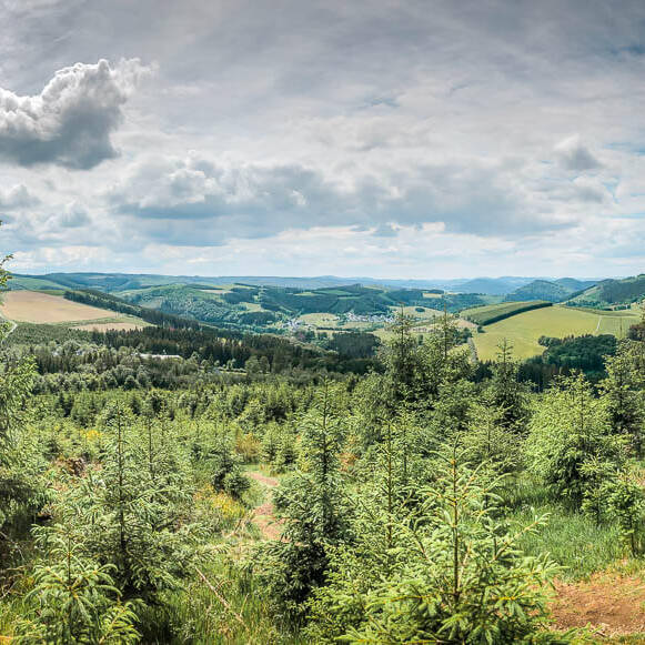Wandern im Sauerland auf dem Kahler-Asten-Steig
