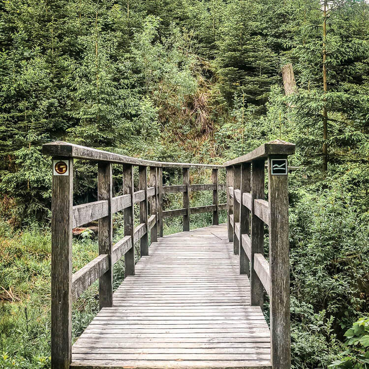 Wandern im Sauerland auf einem Holzsteg des Kahler-Asten-Steig