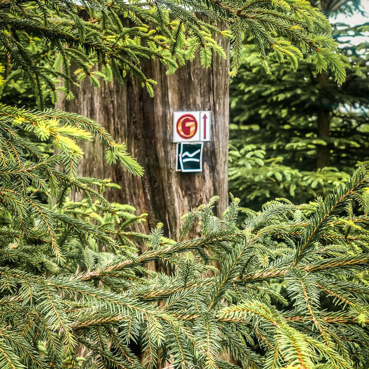 Markierung Rothaarsteig Spur und Golddorf Route