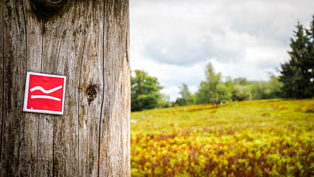 Wandern im Sauerland auf dem Rothaarsteig - Markierung auf dem Kahlen Asten