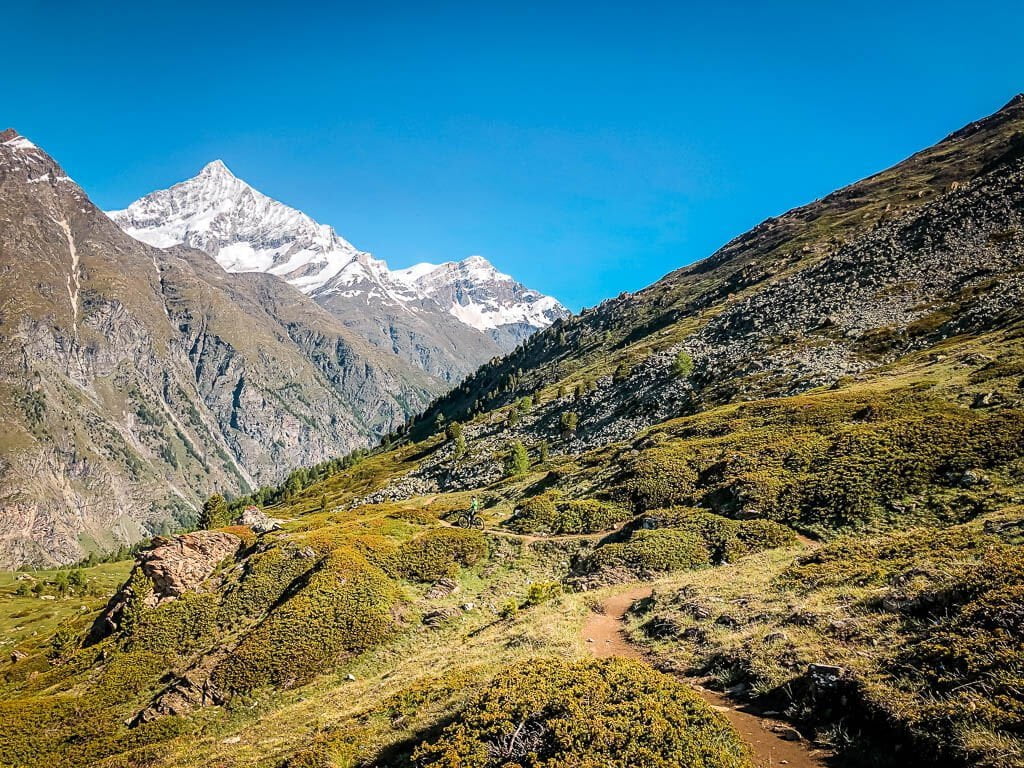 Zermatt Biken - Blumenweg und Bergpanorama von Blauherd nach Sunnegga