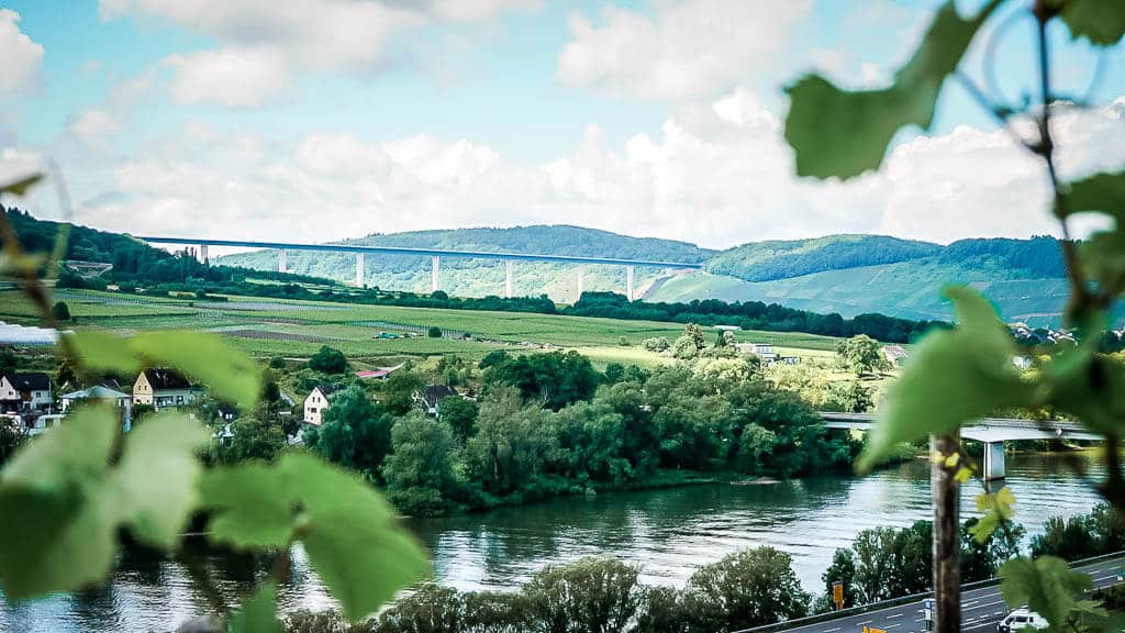 Blick von Kinheim durch die Weinreben auf die Hochmoselbr&uuml;cke