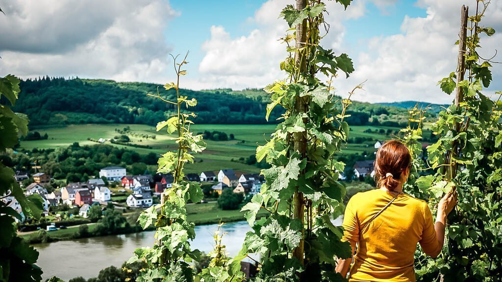 Couchflucht Sabrina Bechtold in den Weinbergen bei Kinheim