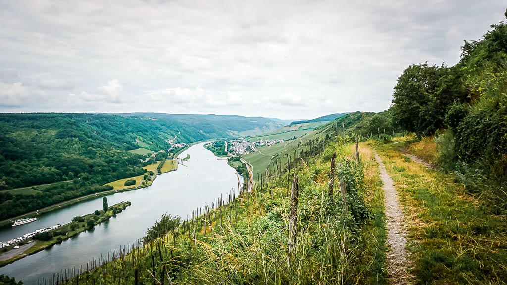 Wandern an der Mosel auf dem H&ouml;henpfad des Moselsteigs Etappe 13