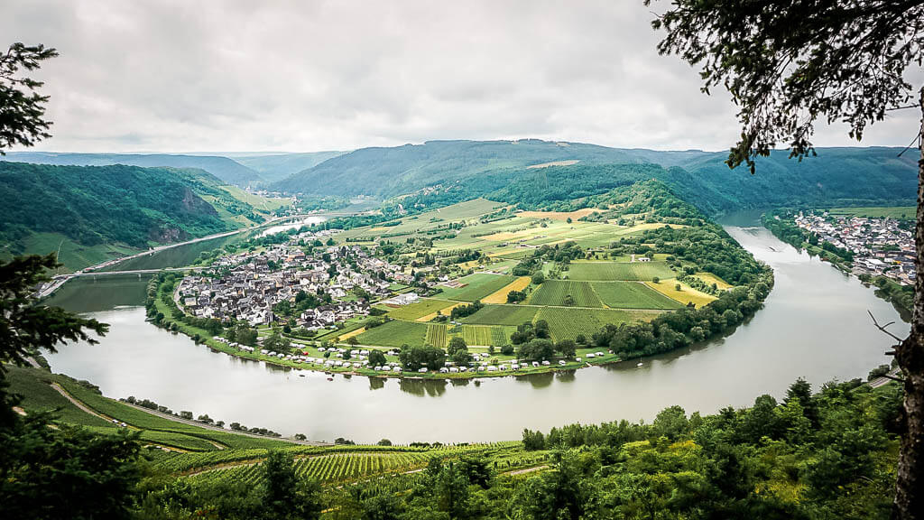Wandern an der Mosel zur Moselschleife auf Etappe 12 des Moselsteigs