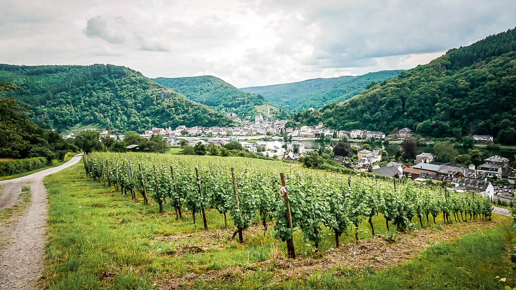 Traben-Trarbach Moselsteig Etappe 12 Blick durch die Weinberge