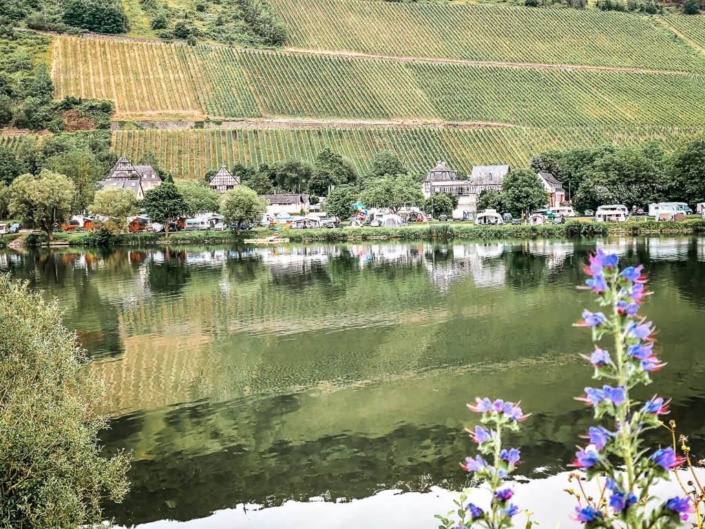 Blick auf den Campingplatz Rissbach und Weinreben im Steilhang von der anderen Moselseite