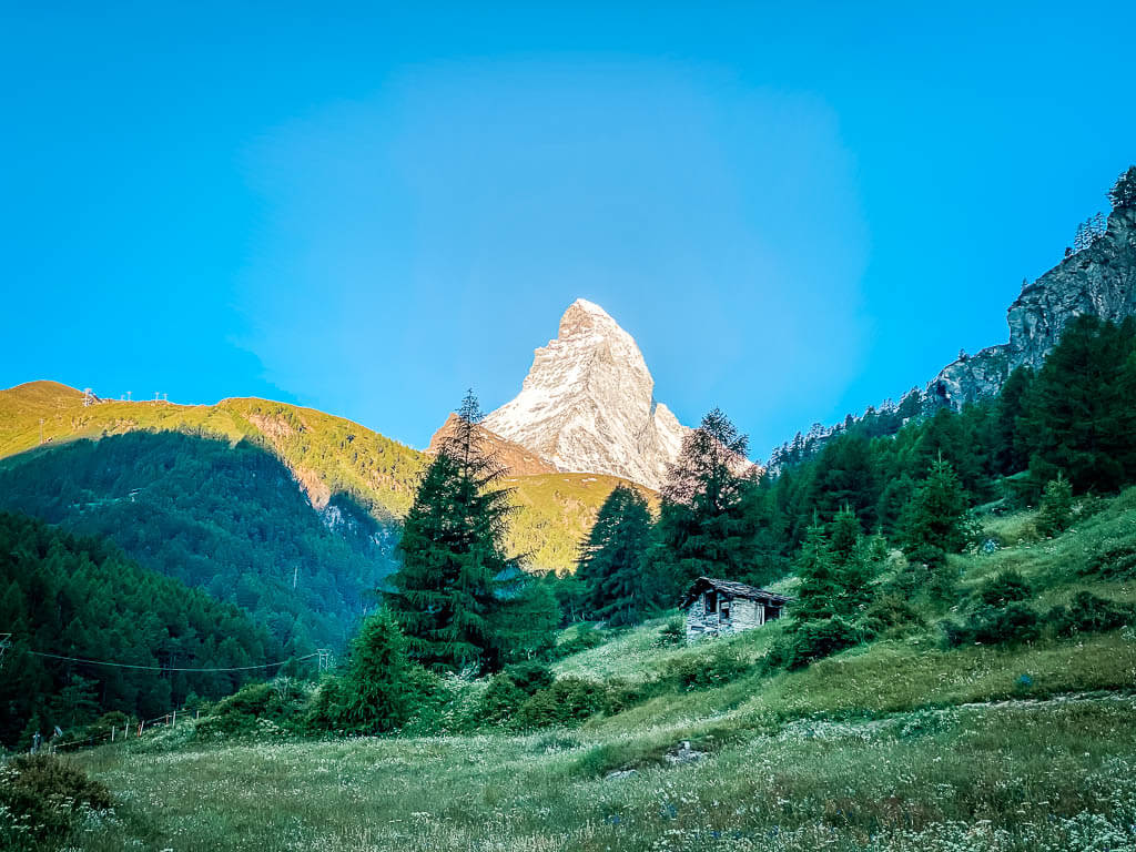 Das Matterhorn im Morgenlicht - Almenidylle am Ortsausgang von Zermatt