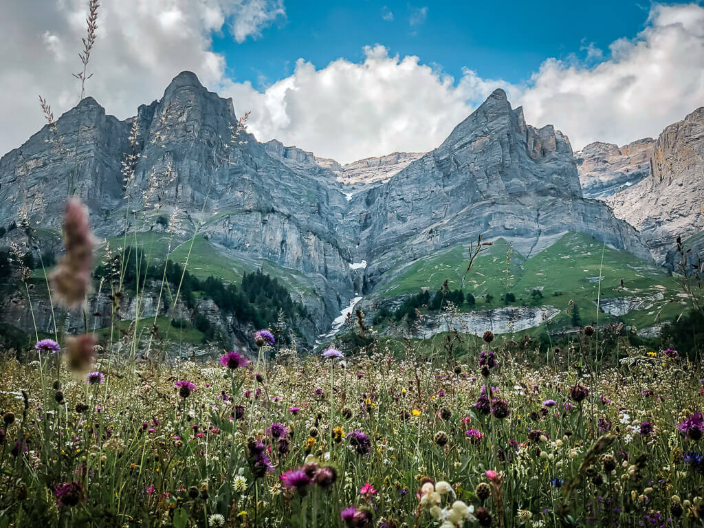 Leukerbad Biken auf dem R&ouml;merweg an einer Wildblumenwiese vor der Gemmiwand