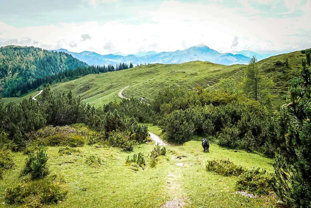 Grasberge und WaiWi Wanderweg in den Kitzb&uuml;heler Alpen
