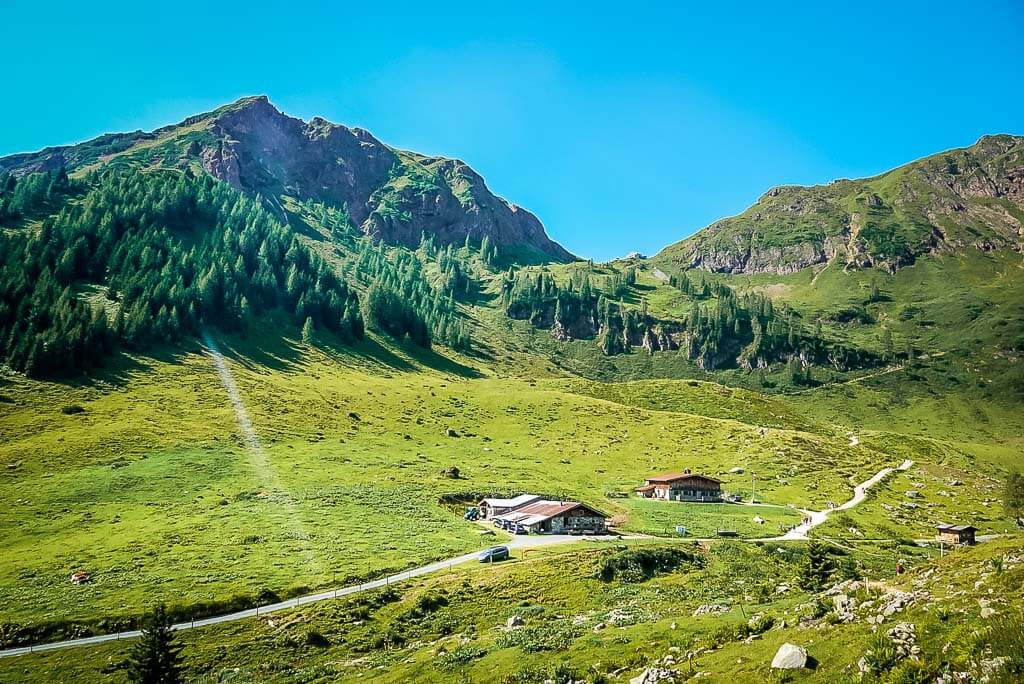 Wildalm und K&auml;serei auf dem WaiWi in Fieberbrunn