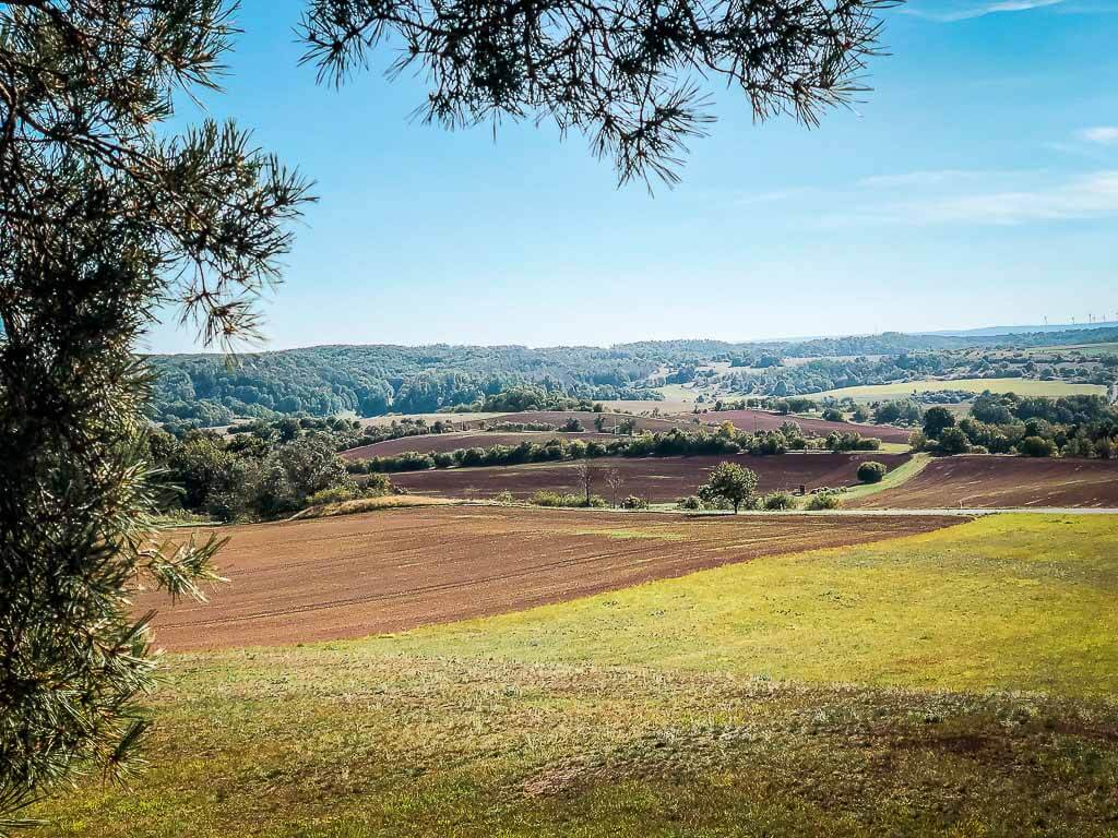 Typische Landschaft im Karstgebiet des Naturparks S&uuml;dharz